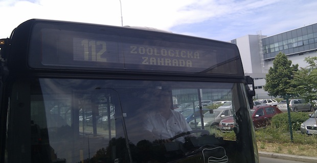 Bus Zoo