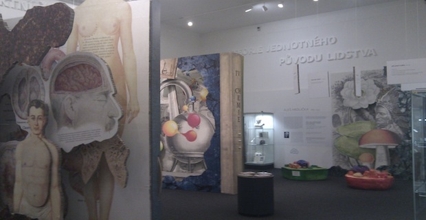 Room 5